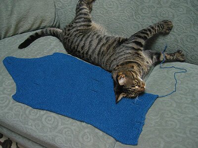 Raspy_sleeve_postwash01.jpg
