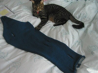 Raspy_sleeve_prewash01.jpg